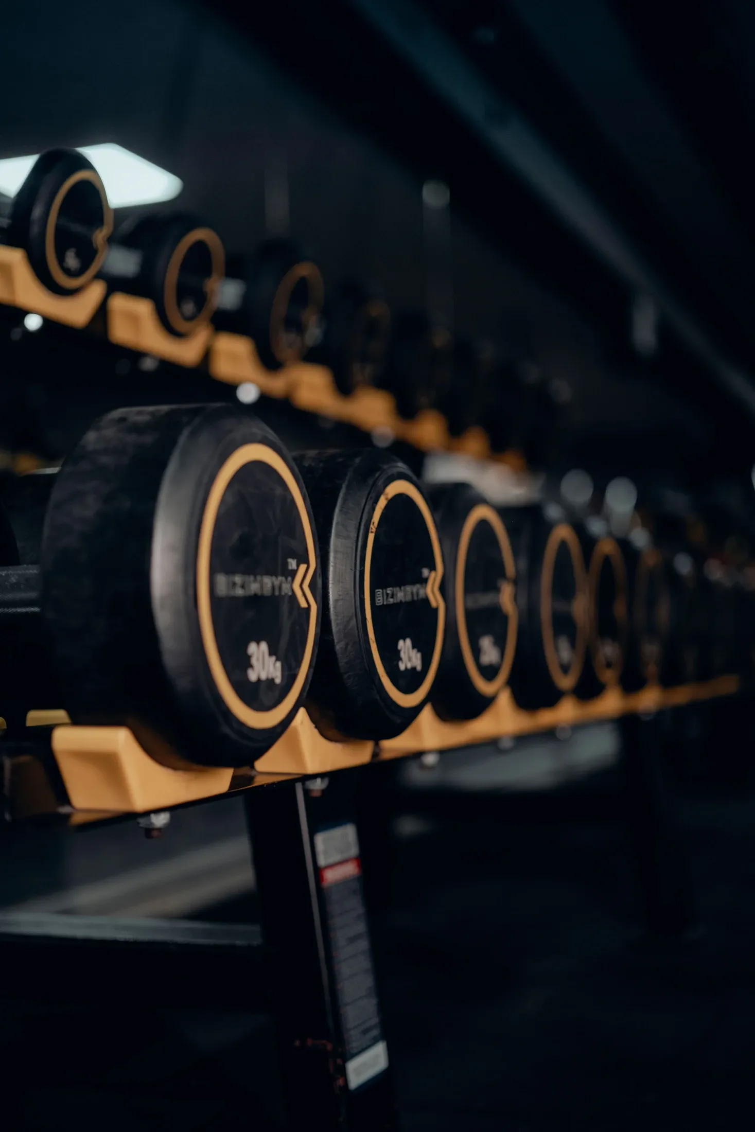 Karanlık spor salonunda rafa düzenli biçimde yerleştirilmiş dambıllar
